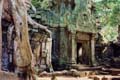 TaProhm7