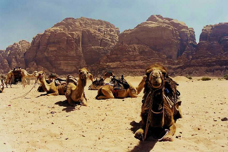 WadiRum4