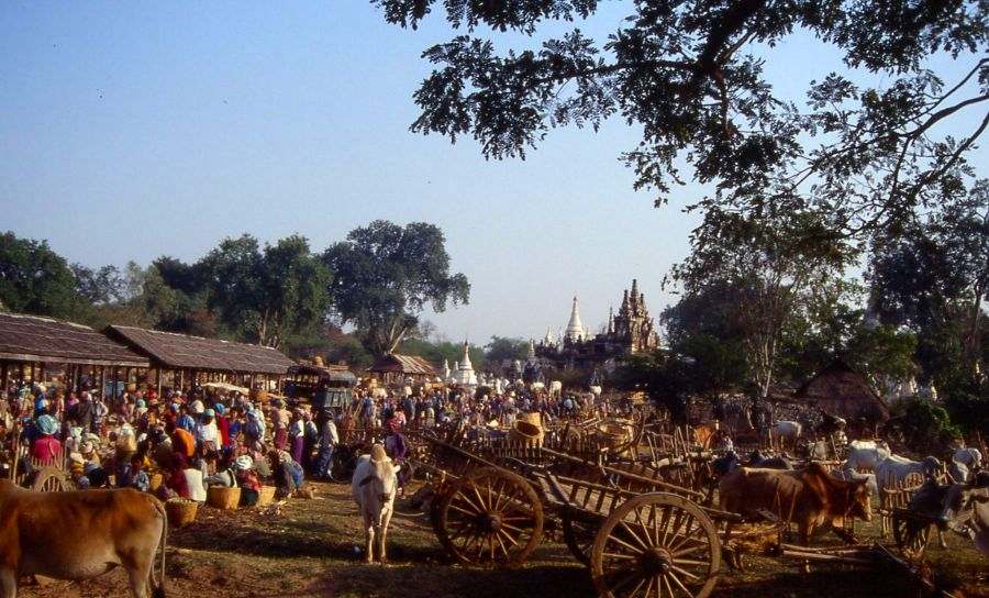 Market4